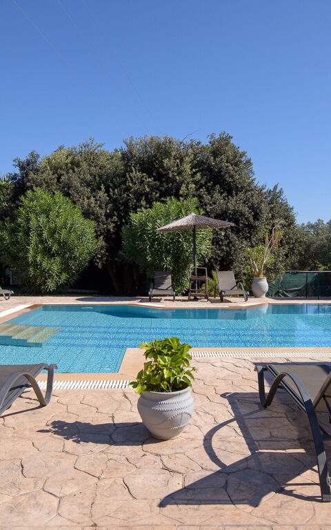 Villa Melitti: bassin, Extérieur, Extérieurs, Jardin