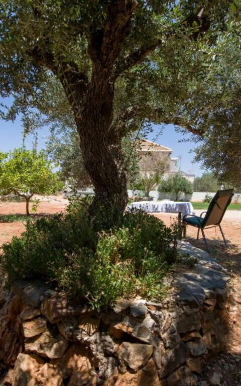 Magnolia: Extérieur, Extérieurs, Jardin