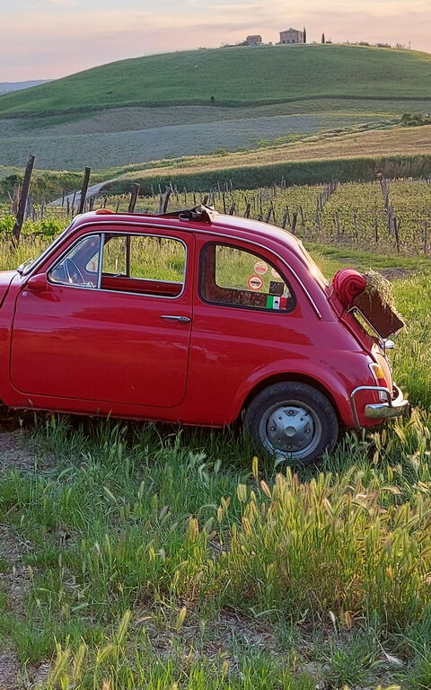 Podere Peteglia: Vues