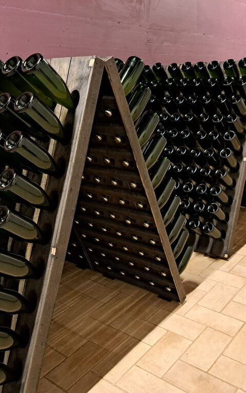 Podere Peteglia: Activités