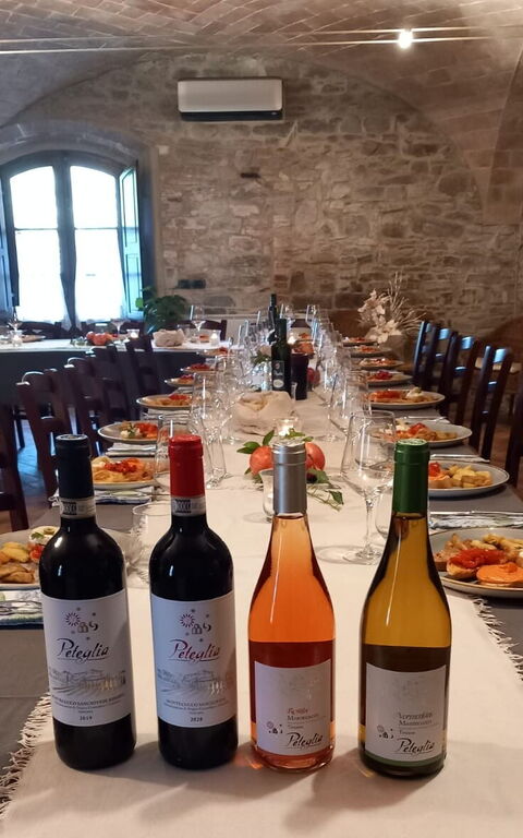 Podere Peteglia: Activités