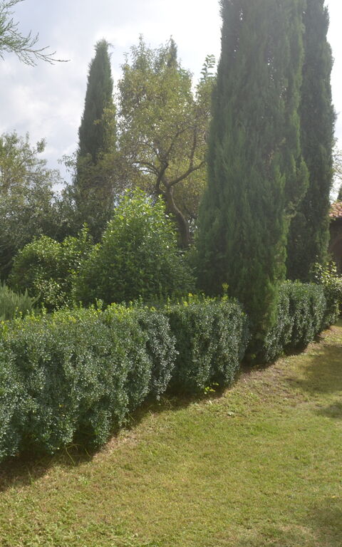 Podere Peteglia: Extérieur, Extérieurs, Jardin