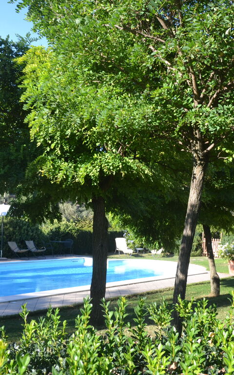 Podere Peteglia: bassin, Extérieur, Extérieurs, Jardin