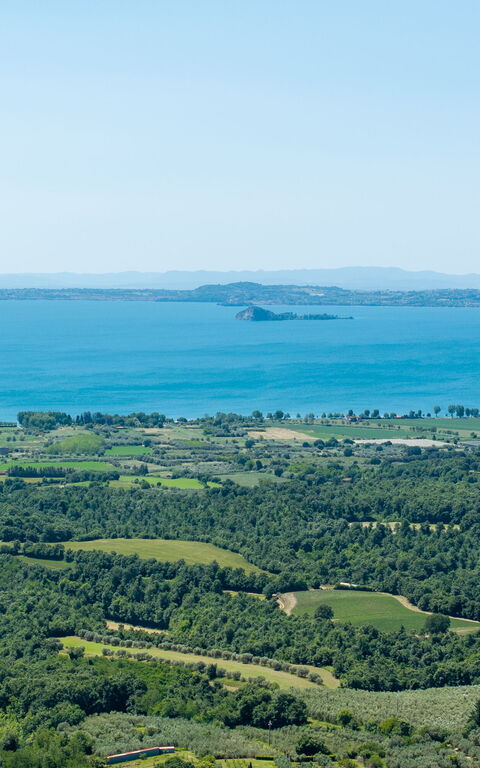 Tenuta Poggio Guiano: Vues