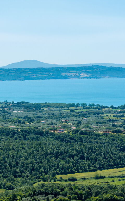 Tenuta Poggio Guiano: Vues