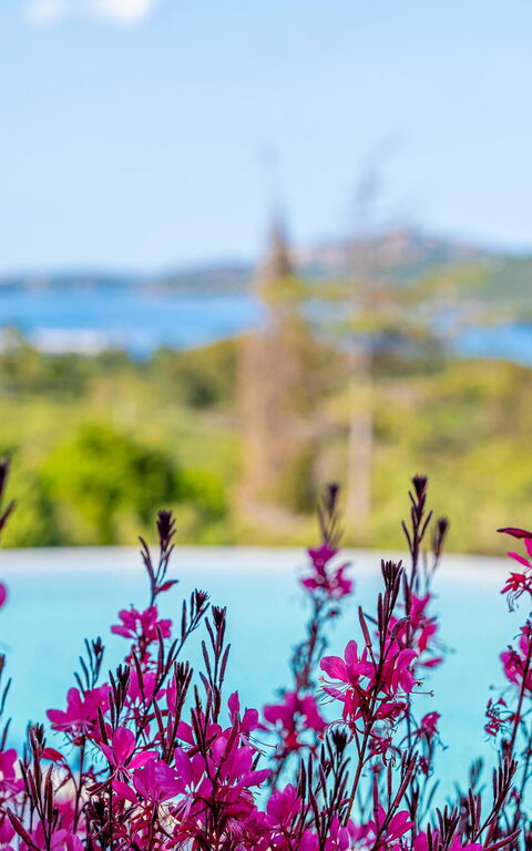 Villa Zephyros: bassin, Vues