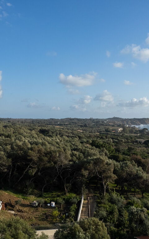 Villa Elais: Extérieur, Vues