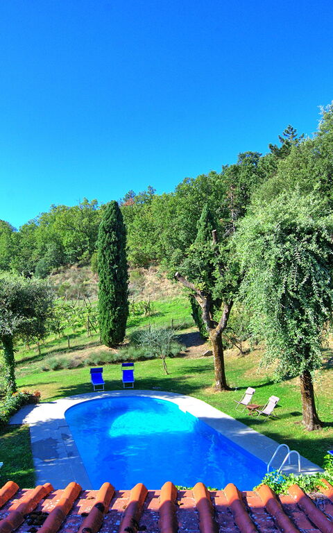 Villa Ulivacci: bassin