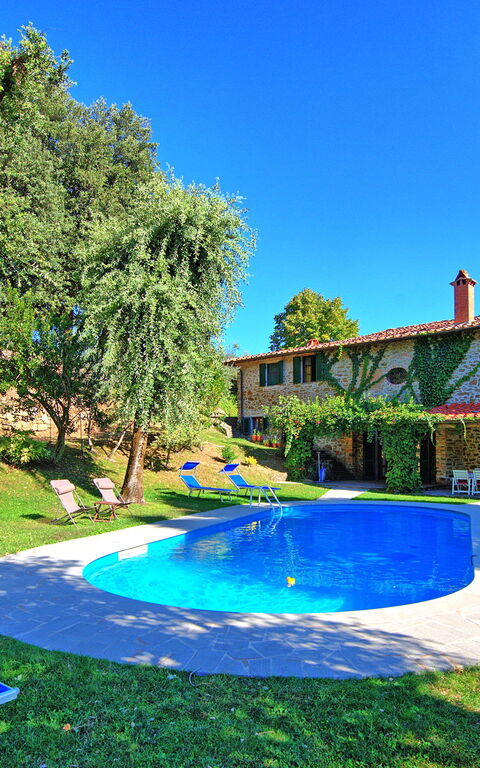 Villa Ulivacci: bassin, Été, Extérieur, Extérieurs, Jardin