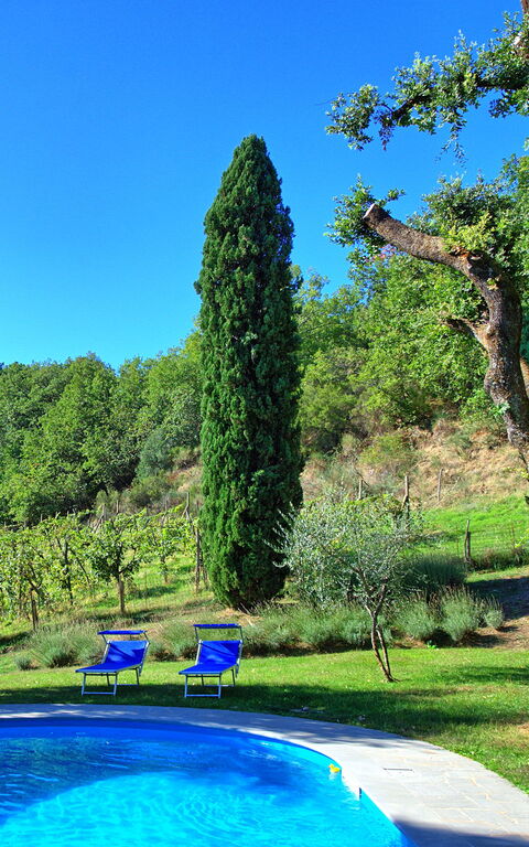 Villa Ulivacci: bassin