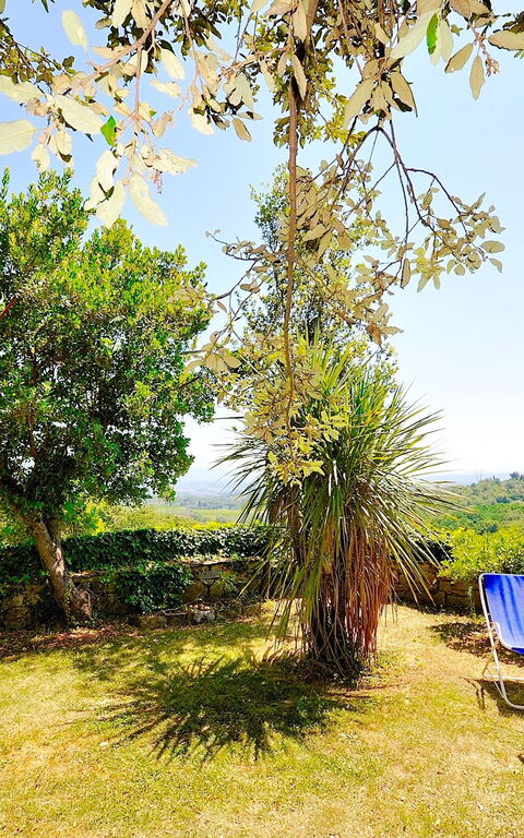 Villa Ulivacci: Jardin