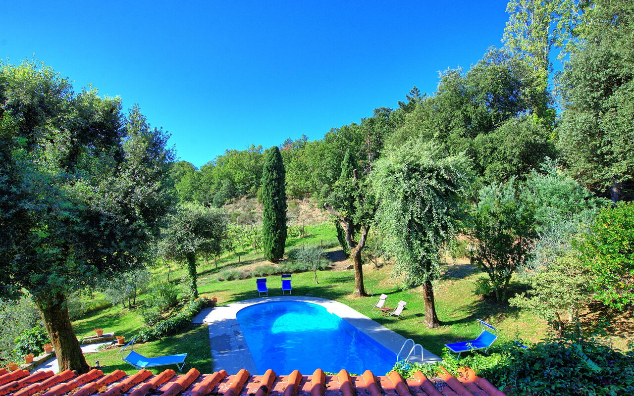 Villa Ulivacci: bassin