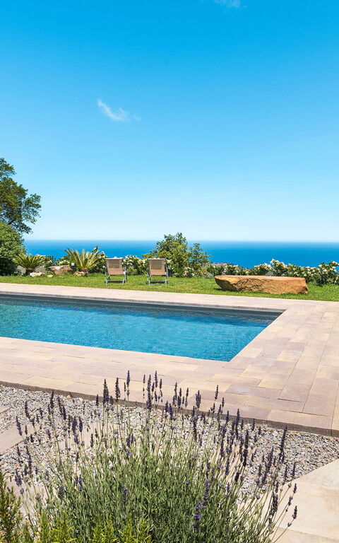 Casita: bassin, Extérieur, Extérieurs, Jardin