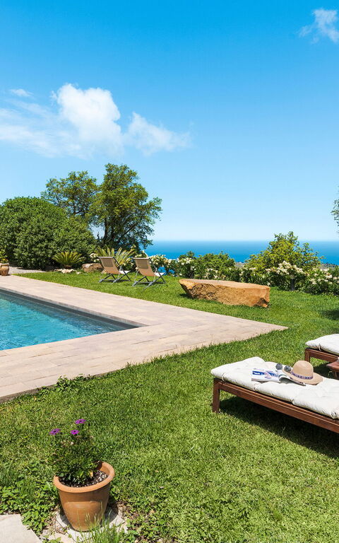 Casita: bassin, Extérieur, Extérieurs, Jardin