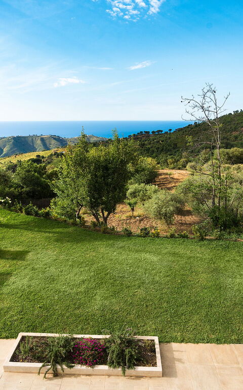 Casita: Extérieur, Extérieurs, Jardin