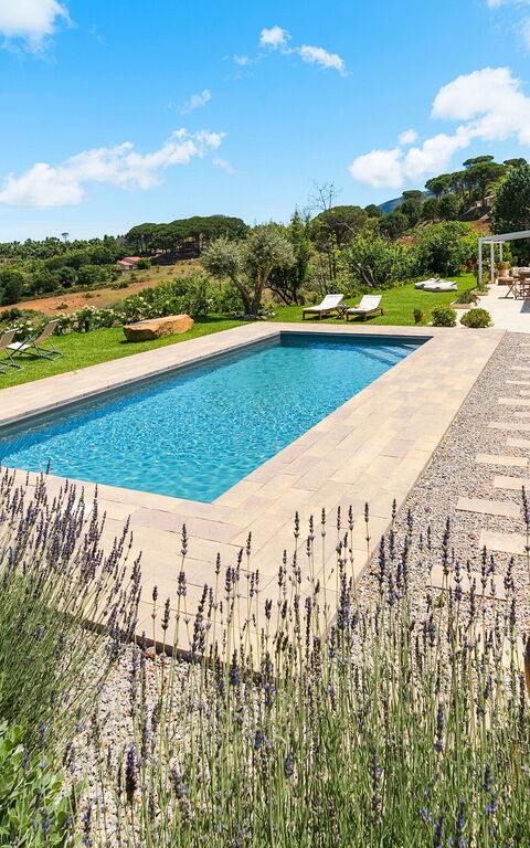 Casita: bassin, Extérieur, Extérieurs, Jardin