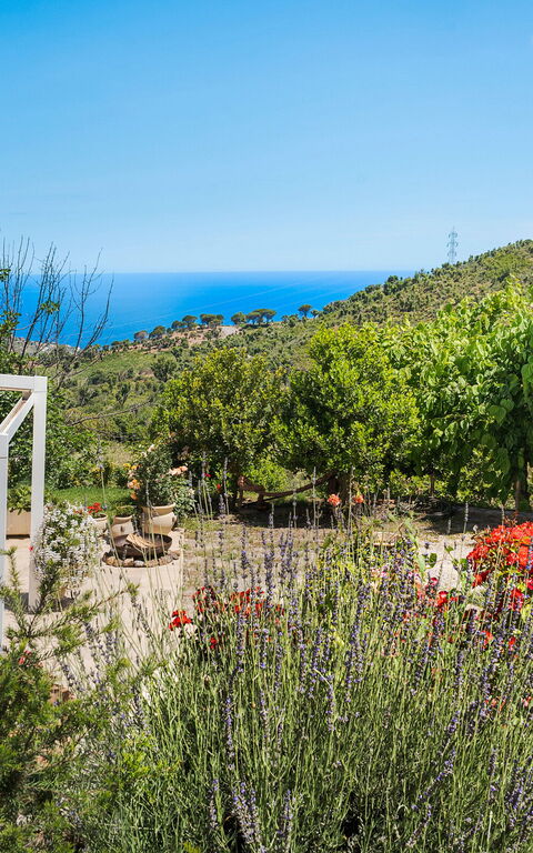 Casita: Balcon / Terrasse / Patio, Extérieur, Extérieurs