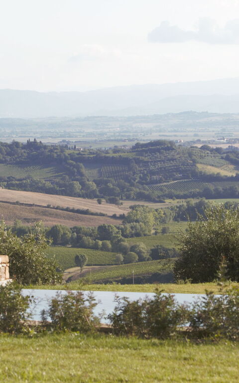 Villa Icario: bassin, Extérieur, Extérieurs, Jardin, Vues