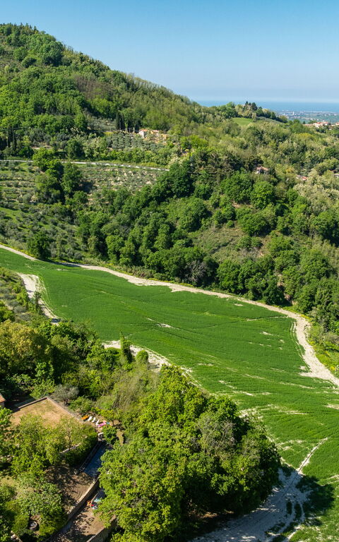 Villa Belvedere San Bartolo: Vues