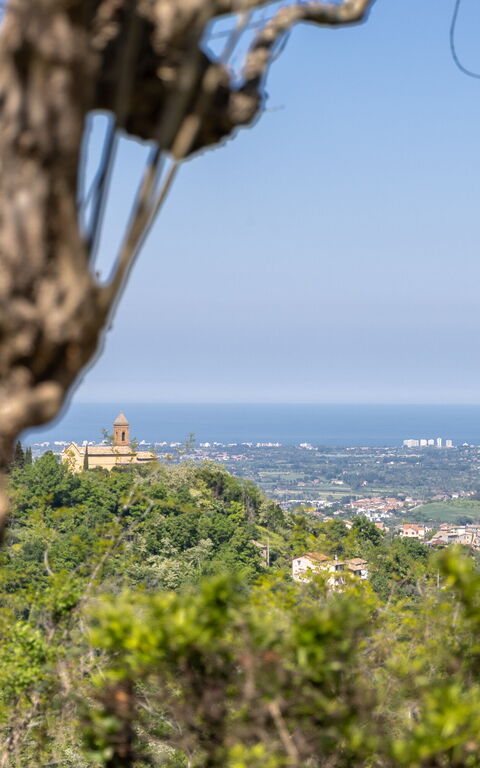 Villa Belvedere San Bartolo: Vues