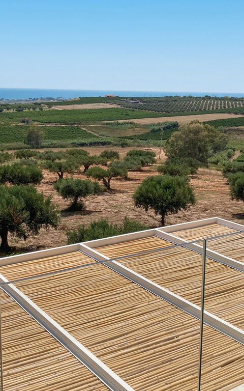 Terra di Bertolino: bassin, Vues