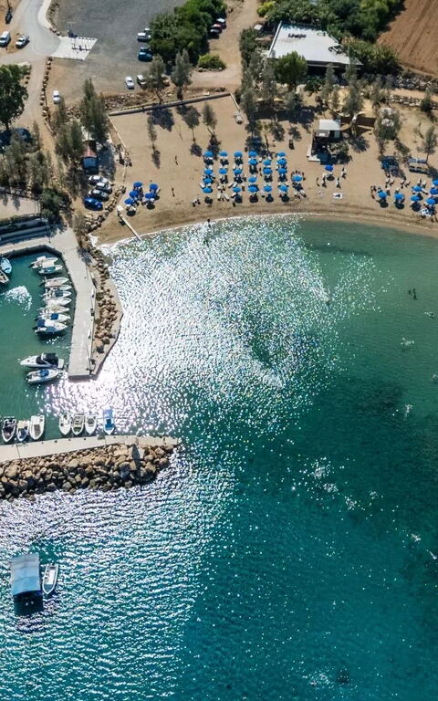 Ayia Triada Beach Gardens: Vues