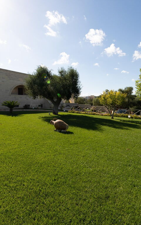 Villa Icaria: Extérieur, Extérieurs, Jardin