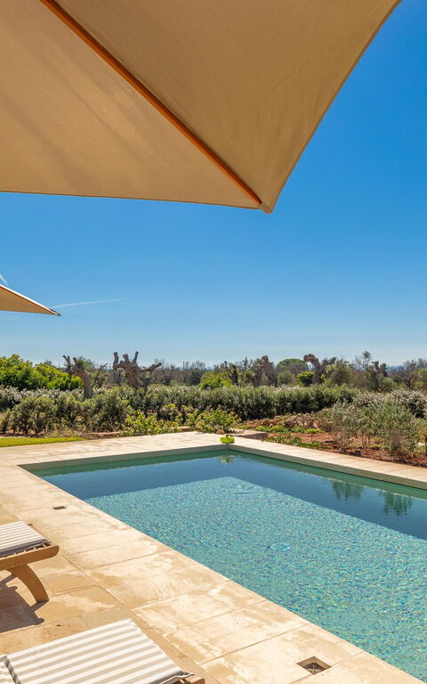 Villa del Cedro: bassin, Extérieur, Extérieurs