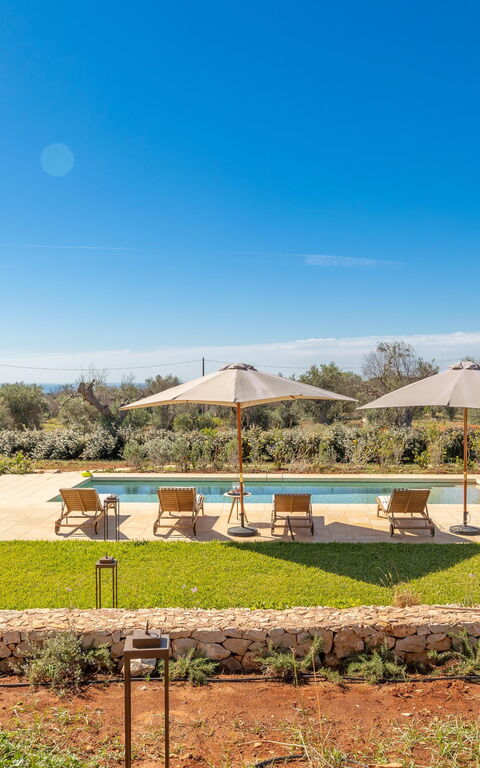 Villa del Cedro: Extérieur, Extérieurs
