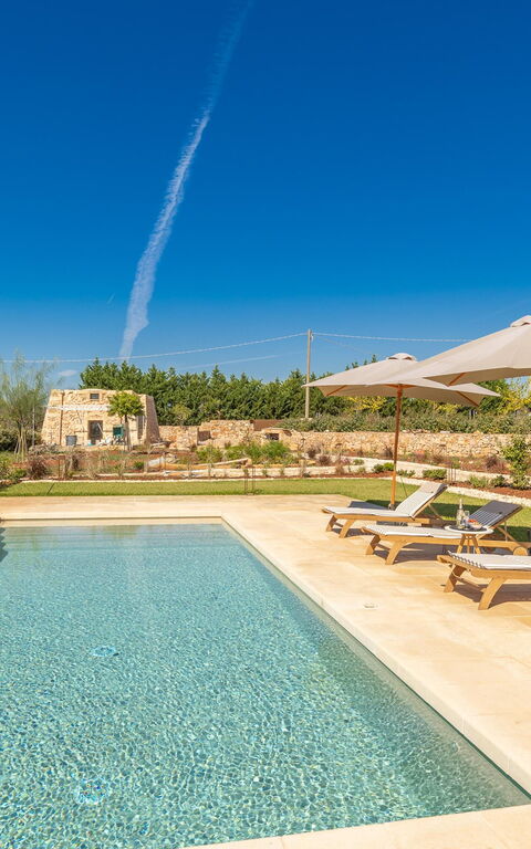 Villa del Cedro: bassin, Extérieur, Extérieurs