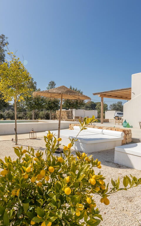 Villa Panacea: Extérieur, Extérieurs