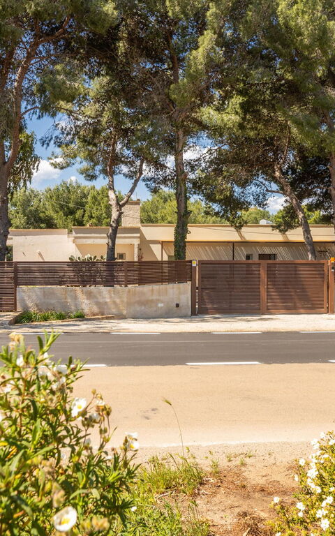 Essenza di Pace: Entrée principale