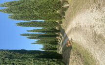 Photo de Villa Gualchiere Faite par un Client