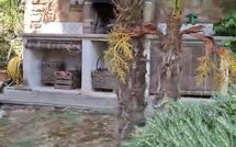 Photo de Casale di Cozzile Faite par un Client