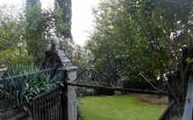 Photo de Montegufoni Faite par un Client