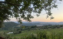 Photo de San Guido Faite par un Client