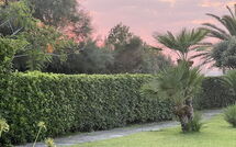 Photo de Cala Marina Faite par un Client