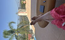 Photo de Villa Kois Faite par un Client