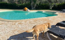 Photo de Lamia Santo Arcangelo Faite par un Client