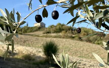 Photo de Villa San Michele Faite par un Client