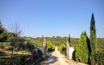 Photo de Podere Romina - Bandita Apartment Faite par un Client