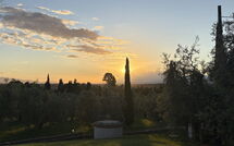 Photo de Il Sole di Vino - Sole di Vino - 1 Faite par un Client