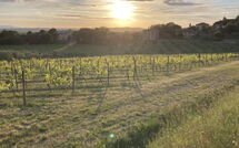 Photo de Villa Nova Faite par un Client