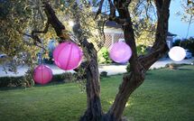 Photo de Podere Romina - Stalla Apartment Faite par un Client