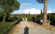 Photo de Podere Romina - Belvedere Apartment Faite par un Client