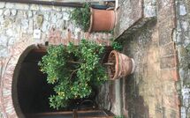 Photo de La Ruota Faite par un Client