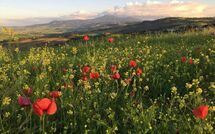 Photo de Montegufoni Faite par un Client