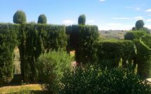 Photo de Montegufoni Faite par un Client