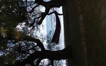 Photo de Villa Romantic Sevi Faite par un Client