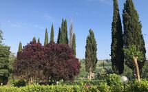 Photo de Villa Sabrina Faite par un Client